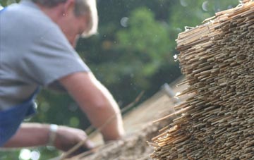 professional Carnyorth thatchers